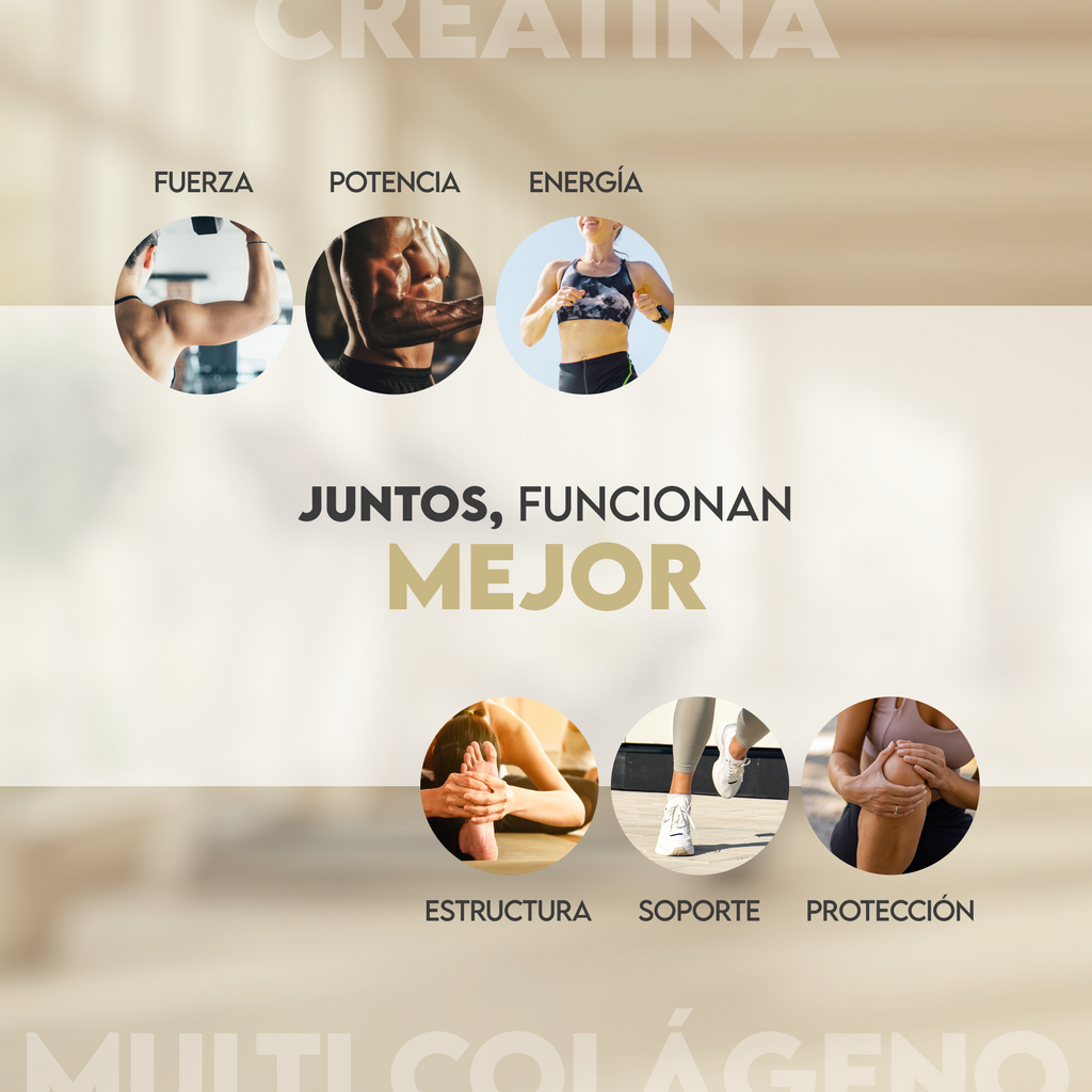 Creatina monohidrato y multi colágeno