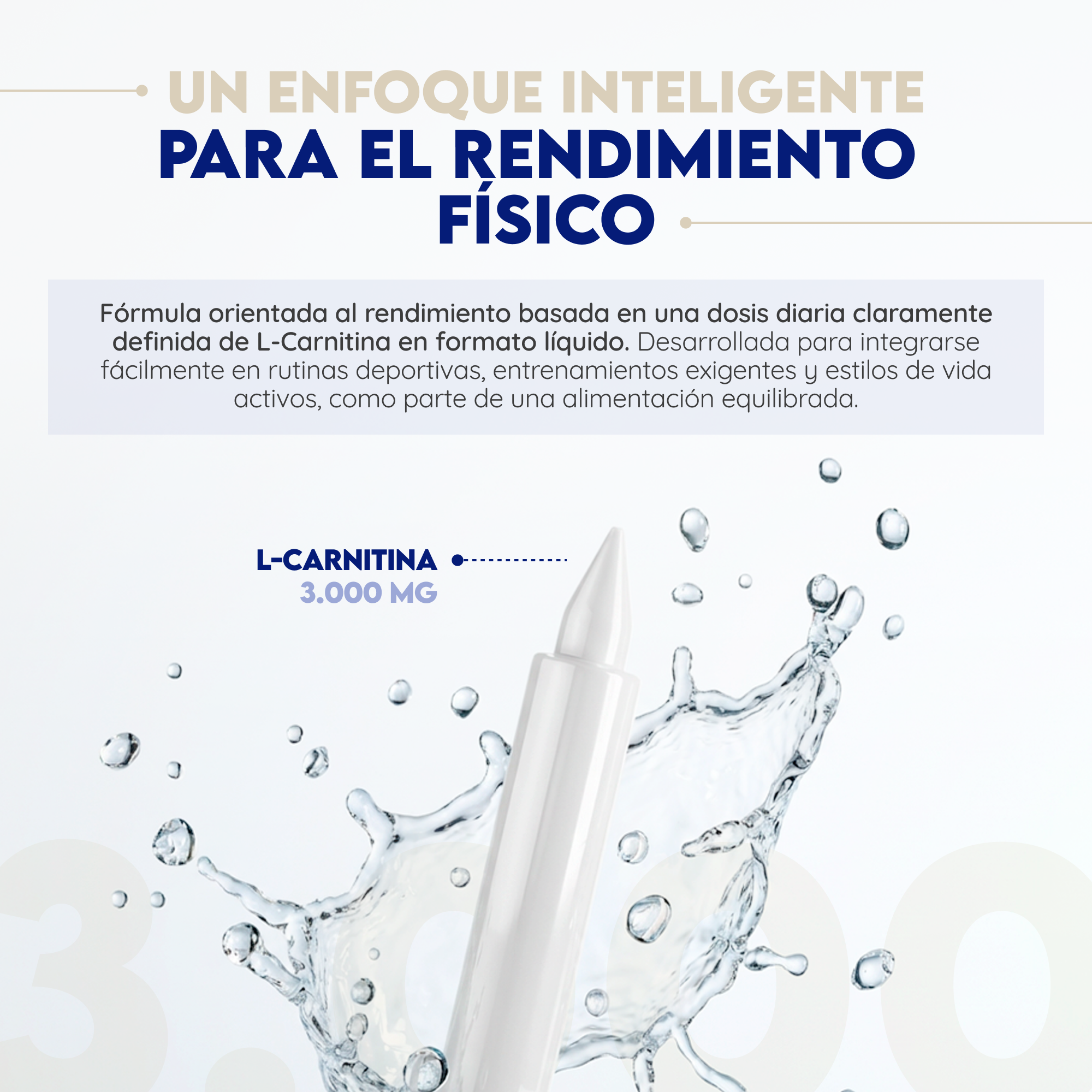 L-Carnitina 3000