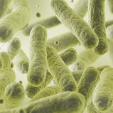 Mezcla simbiotica
