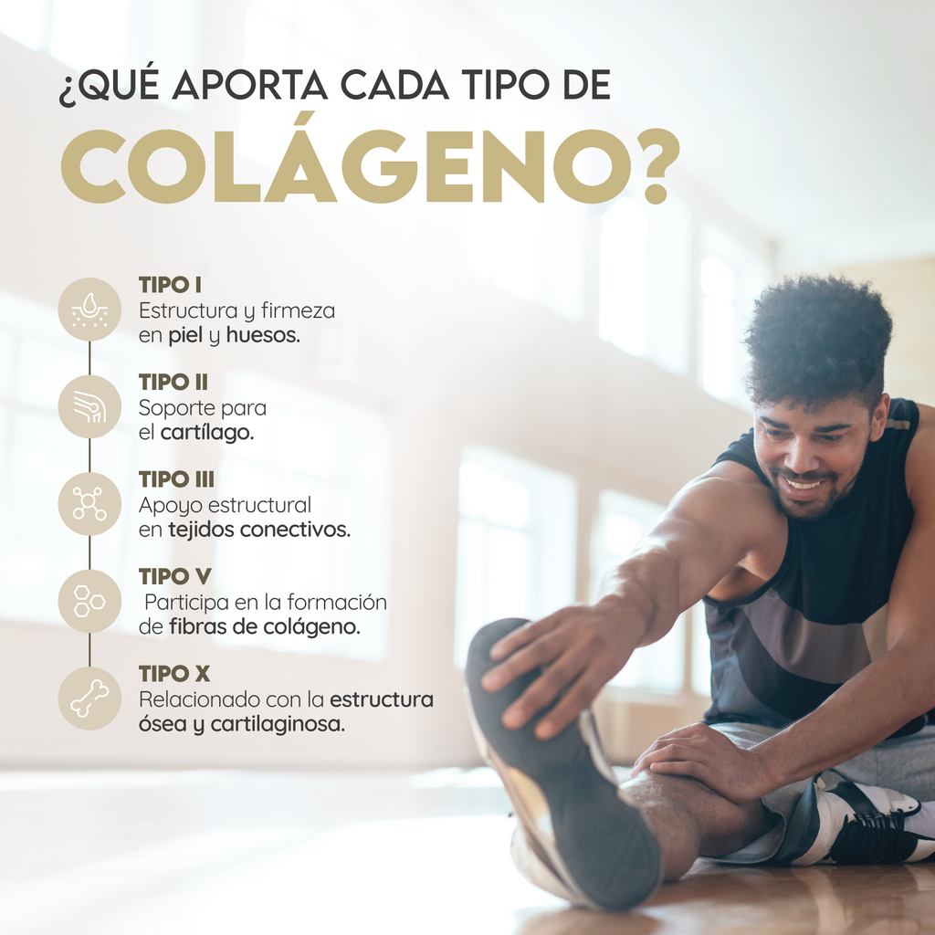 Multi Collagen