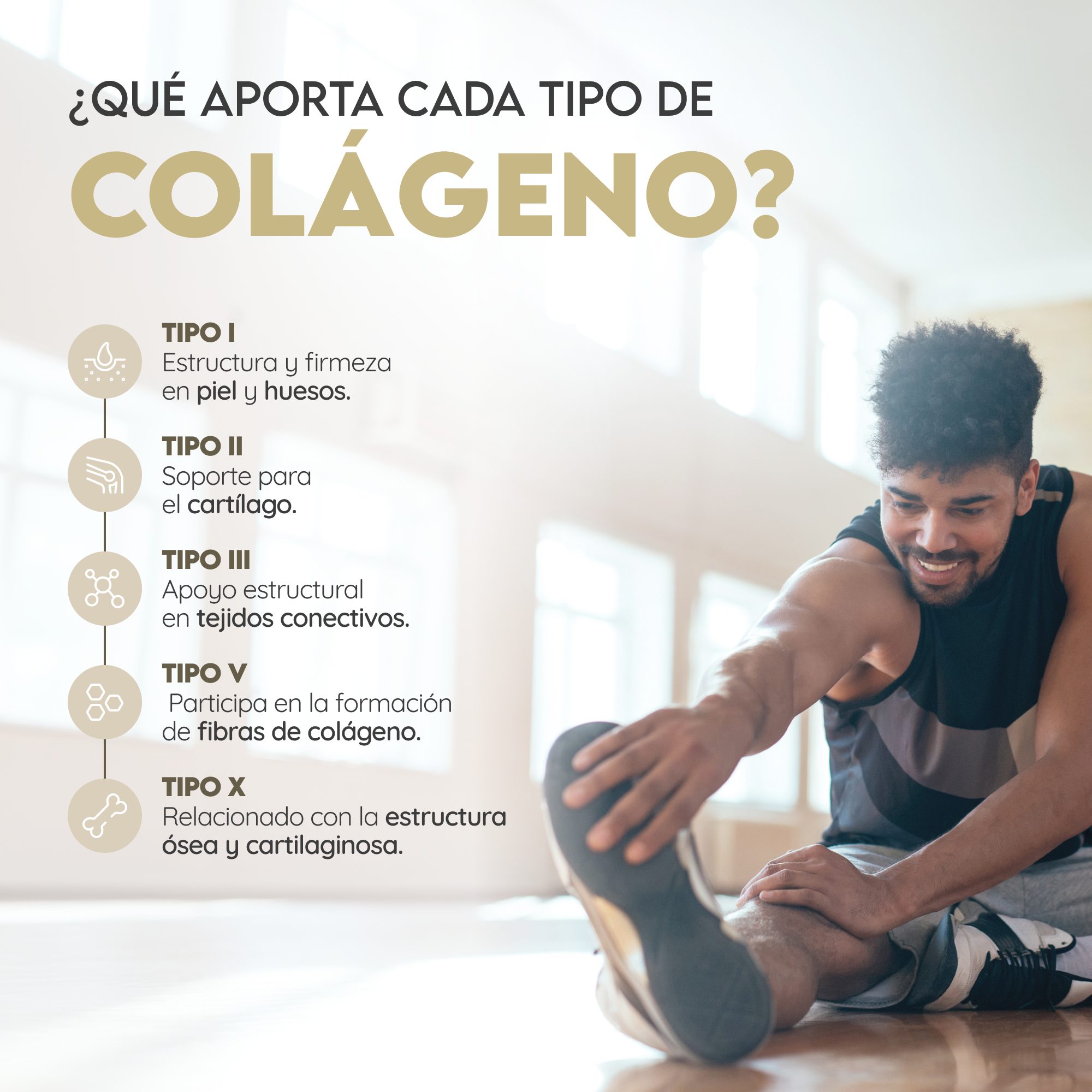 Multi Collagen