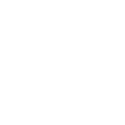 N2 Spain logo
