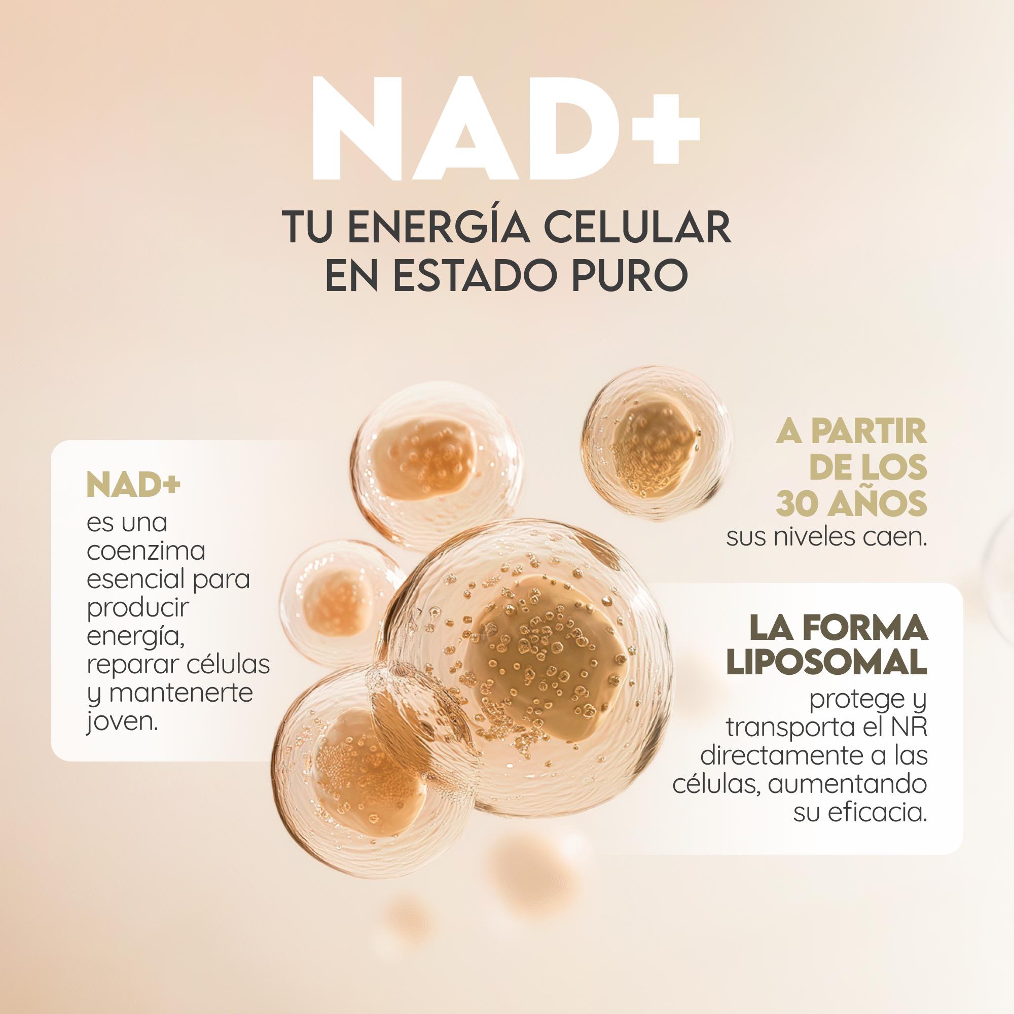 NAD+ Liposomiale: Energía Celular Y Longevidad