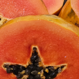 Papaya