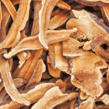 Reishi