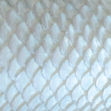 Colageno hidrolizado Marino PEPTAN® (TipoI)